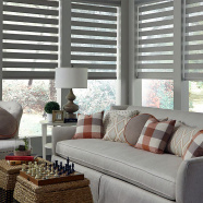 Shades Image 10